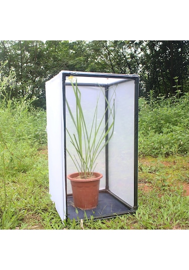 Reedark Pvc Çerçeveli Kelebek/boğağa Kafesi Bitki Ve Böcek Yetiştirme İçin Özel Boyut Oluşturulabilir Dayanıklı Ve Kolay Montajlı