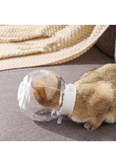 Homyl Kedi Namlu Şeffaf Pet Bakım Başlığı Ev Seyahat 16cm