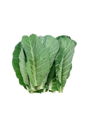 Eko Paket Yerli Karadeniz Lahana Tohumu 300 Tohum + Tohum