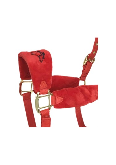 Homyl At Yuları Yastıklı Ayarlanabilir Kırmızı-m Kırmızı M