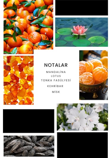 Ixora E035 Puzzle Erkek Parfüm EDP 50 ML