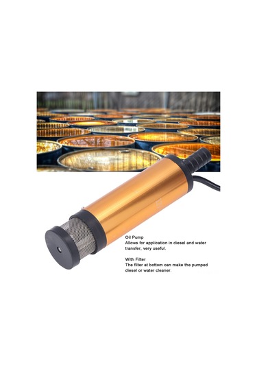 Wezone 12v Dc Elektrikli Mini Taşınabilir Yağ Pompa, Filtreli, Su Ve Dizel Transferi, 38mm, 12l/dakika, Paslanmaz Çelik Kasa