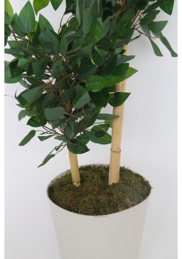 Yapay Ficus Benjamin Ağacı Dolgun Yeşil Yapraklı, Ev Ve Ofis Dekorasyonuna Uygun, Bambu Gövdeli Yeşil