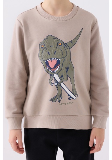 Rolypoly Erkek Çocuk Eşofman Takımı Rp3430 Kum Kum