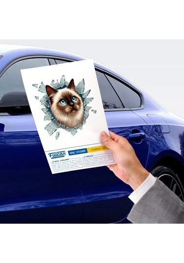 9072696505900lmr - Larimar Fulcar Siamesse Araç Stickerı