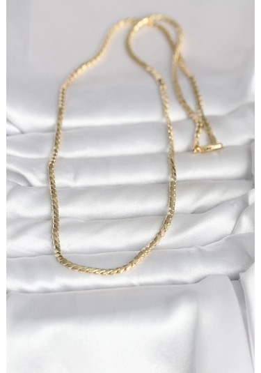 Ceylan Adam Cm 14k Gold Renk Yassı Model 60 Cm Kadın Kolye Çok Renkli
