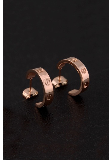 Chavin Rose Vidalı Tasarım Kadın Çelik Küpe Eh81rs Rose Gold