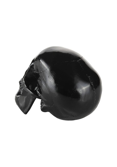 Suntek Reçine Çoğaltma Sanat İnsan Kafatası Modeli Parti