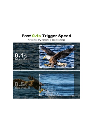 Dancemonkey Yaban Hayatı İz Kamerası 32mp 1080p Kızılötesi Ip66 Su Geçirmez Avcılık Kamera Çok Renkli