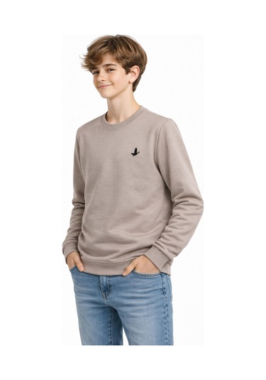 Baglan Erkek Çocuk Sweatshirt Bgl-st05228 Bej