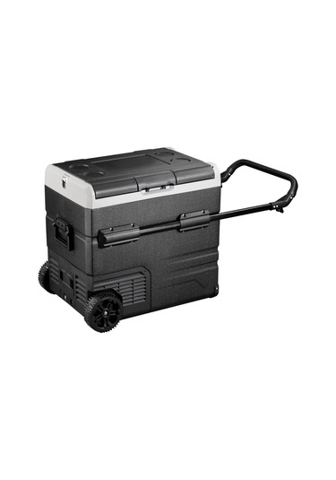 Icepeak Walmer Kompresörlü Buzdolabı 60 Litre-SİYAH