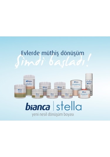Bianca Stella Boya Seti Boya + Kadife Rulo + İpek Fırça + Boya Kabı