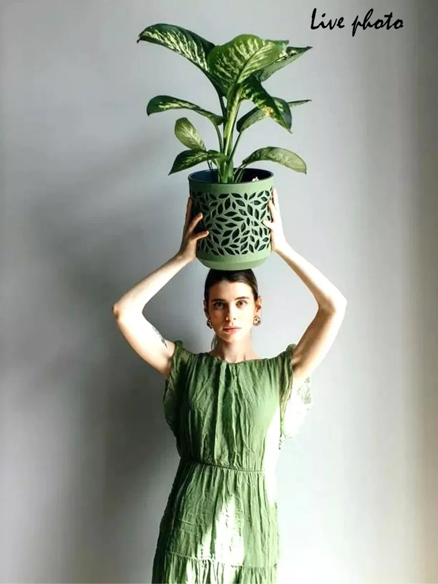 La Decoro İç Mekan Çiçek Saksısı, Çiçek Saksısı, Leaves Saksı 240787142