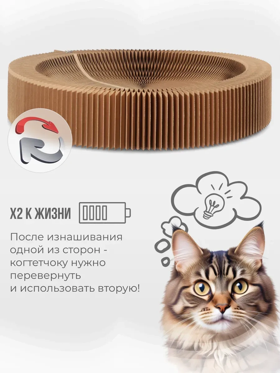 Kogtedralka Karton Kedi Yatağı 480657906