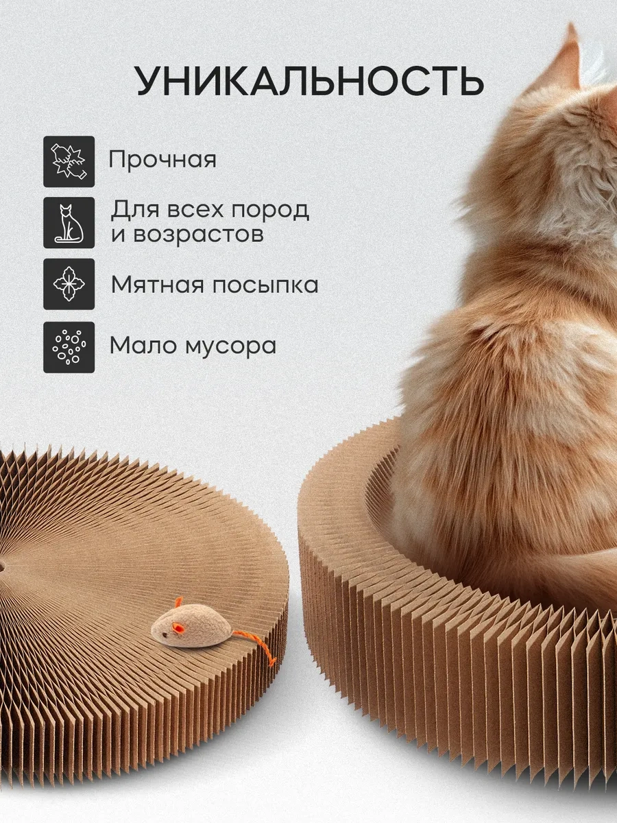 Kogtedralka Kedi Tırmalama Tahtası Yer Tipi Oyuncaklı, Yatak, 2 Adet 283385057