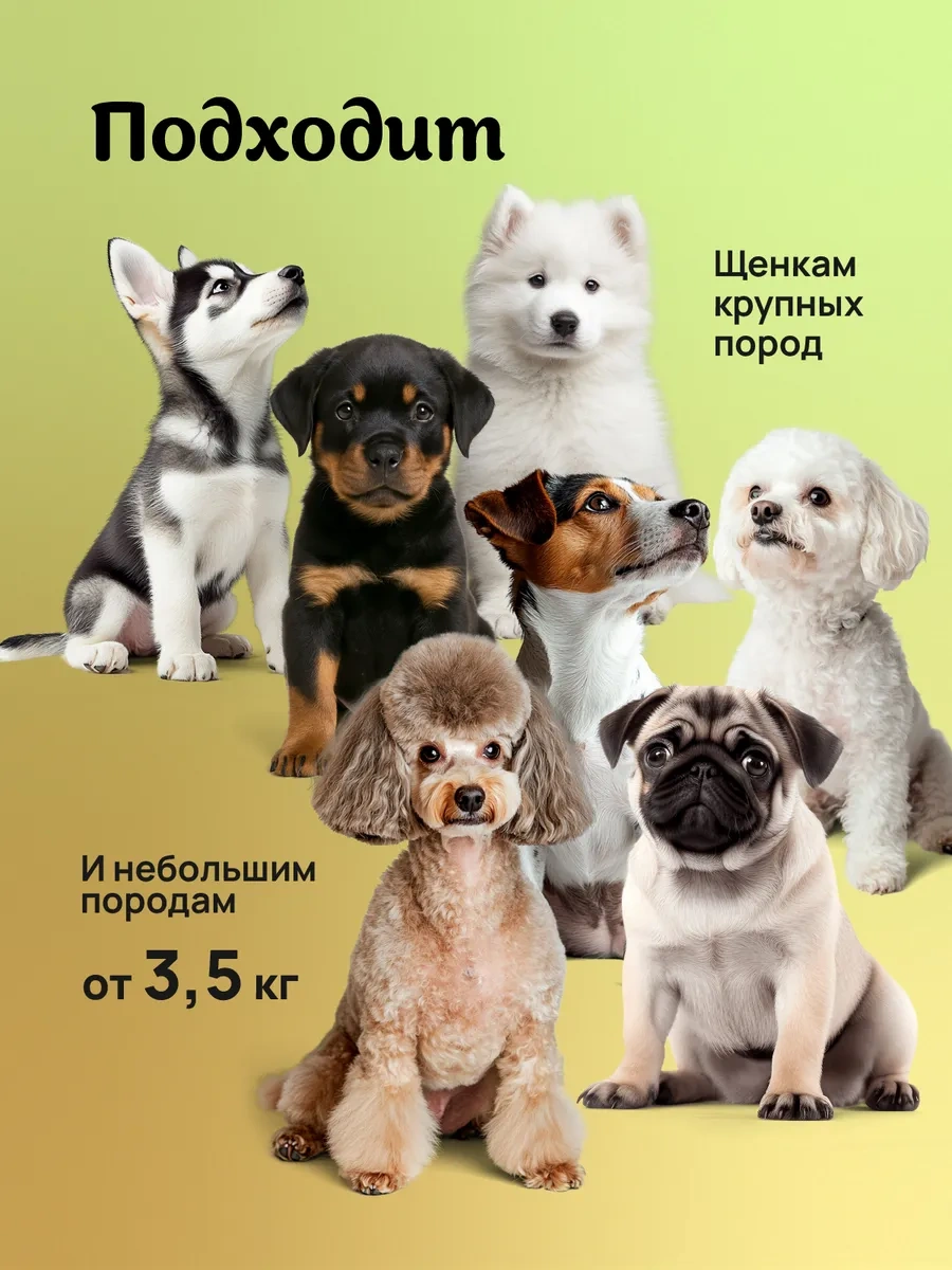 Misterbully Küçük Irk Köpekler Ve Yavru Köpekler İçin Diş Oyuncağı Seti 3'ü 1 Arada 264325071