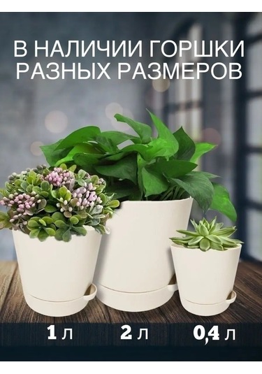 Interm Menekşeler, Sukulentler Ve Kaktüsler İçin Küçük Çiçek Saksısı 52390371