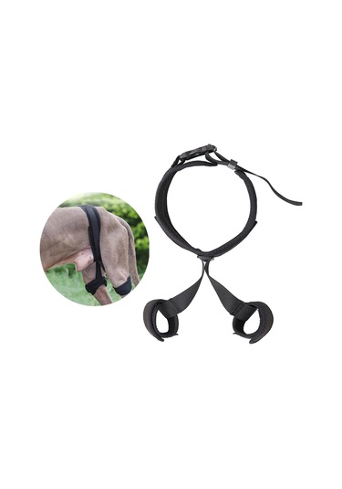 Homyl Köpek Kalça Desteği Canine Aid Bacak Yardımcısı M