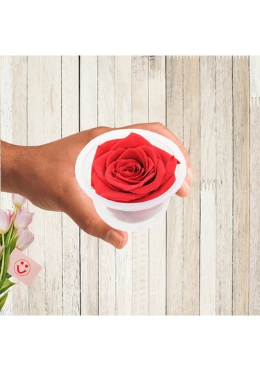 Şoklanmış Solmayan Gül. 5 CM - Kırmızı