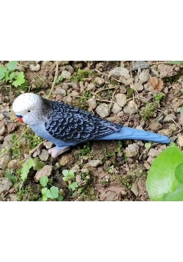 Lijinxu Magideal Minyatür Hayvanlar Kuşlar Modeli Heykelcik Papağan-2
