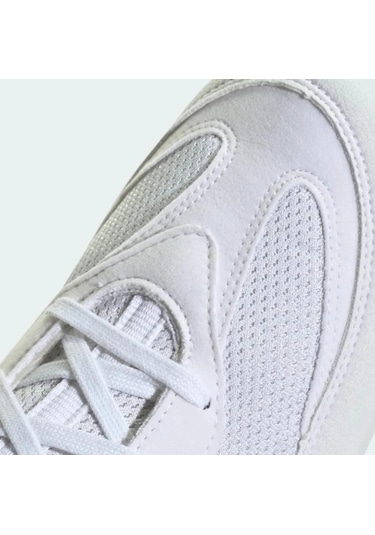 Adidas Box Hog 2 Boks Ayakkabısı Beyaz Beyaz