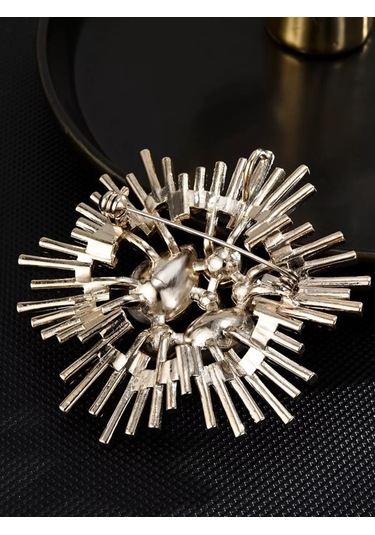 Beautiful Detail Büyük Broş Takı 156713100 Altın Rengi