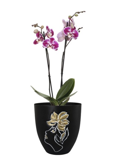 Lea İnsan Figürlü Siyah Metal Saksı Çap 18cm Yükseklik 19cm