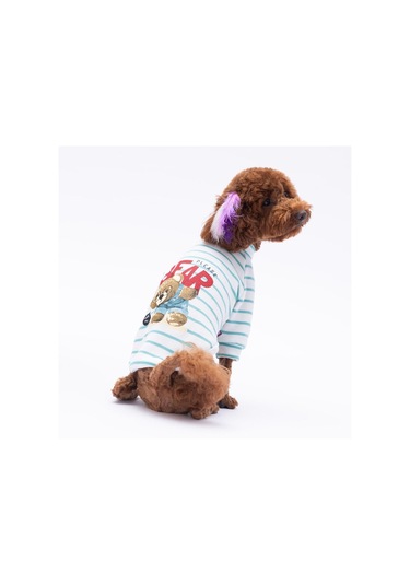 Yeşil Bear With Me Baskılı Triko Sweat Kedi Köpek Sweat Kedi Köpek Kıyafeti