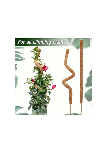 Qingmipy 70cm 4mm Alüminyum Çekirdekli Esnek Bitki Tırmanma Süngeri, Nane Palmiye Çubuğu Ve Kenevir Ip Tabanı İle Bahçe Tırmanma Direnci