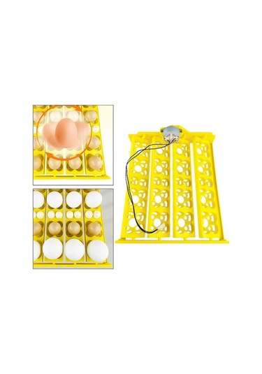 Pazly Yumurta Tavuk Suntek Kuluçka Kaz Için Dc12v Bıldırcın Qz