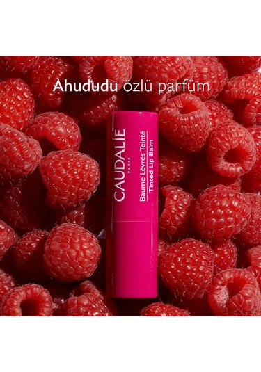 Caudalie Tinted Lip Balm 4.5 G