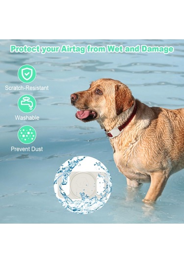 Lichen Şeffaf Aydınlık Yeşil-hava Etiketi Su Geçirmez Ve Kayıp Beyaz