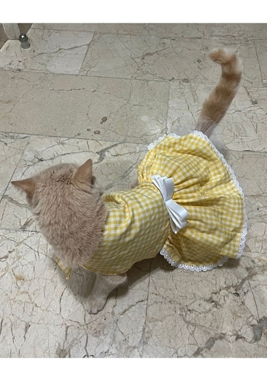 Sarı Beyaz Kareli Fiyonklu Kedi Köpek Kıyafeti Elbisesi Medium/m
