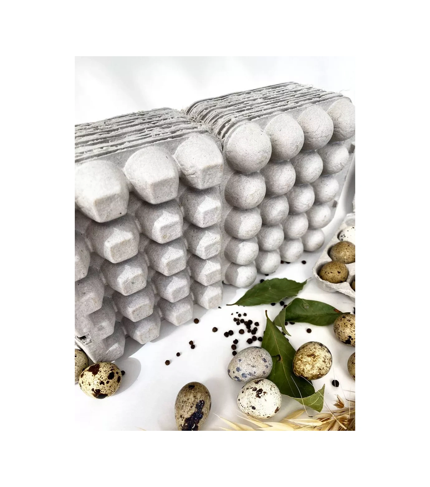 Tpt 20 Gözlü Bıldırcın Yumurtası Paketi 173910803 Bej