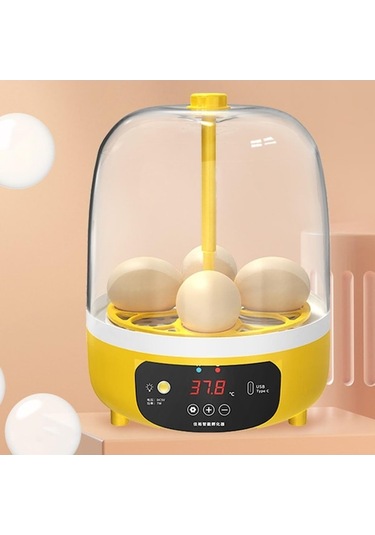 Maoyaya Yumurta Tavuk Suntek Papağan Makinesi Makinesi Kuluçka Kuluçka Rg