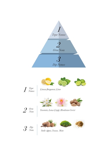 Prova Aqua Man Erkek Parfüm EDP 120 ML