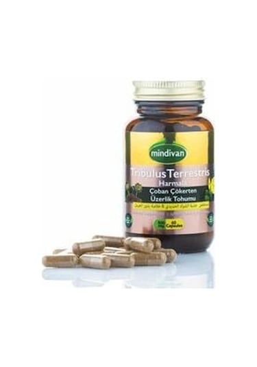 Mindivan Çoban Çökerten & Üzerlik Tohumu Ekstresi