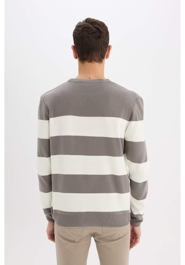 DeFacto Standart Fit Bisiklet Yaka Çizgili Triko Kazak D1968AX24AUGR308