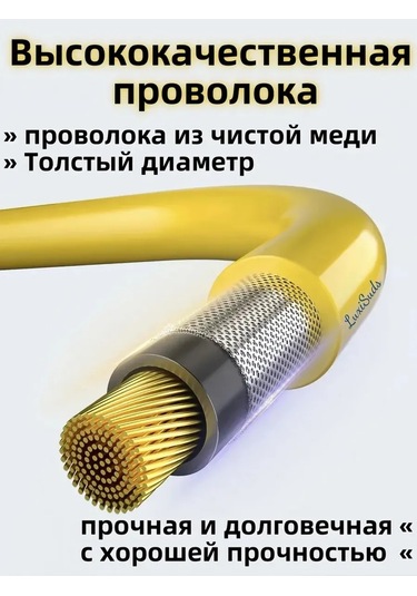 Havuz İçin Daldırmalı Isıtıcı 2500w 461118651