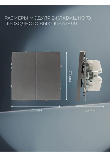 Laıtys Çift Düğmeli Geçişli Gri Anahtar Modülü 259435644