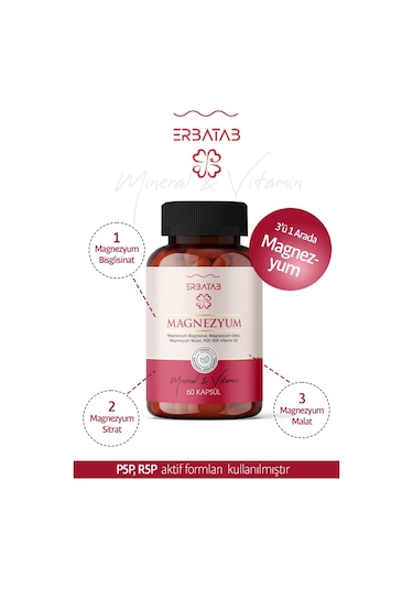 Erbatab Magnezyum Bisglisinat Sitrat Malat & Vitamin B2 B3 B6 3'lü Form 60 Kapsül