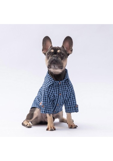 Pawstar Luss Mavi Kedi Ve Küçük Irk Köpek Gömleği