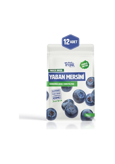 Dondurularak Kurutulmuş Yaban Mersini 18 G Freeze Dried Meyve Cipsi Çıtır Meyve Kurusu 12 Adet