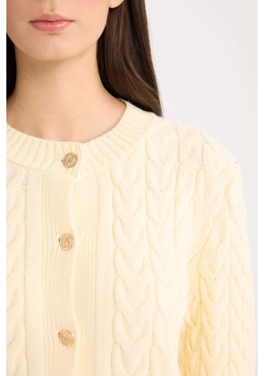 DeFacto Regular Fit Bisiklet Yaka Saç Örgülü Düğmeli Triko Hırka C9044AX24WNER109 Ekru