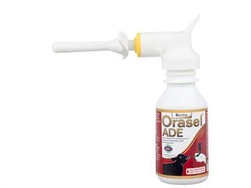 Royal Rovita Orasel Ade 100 Ml