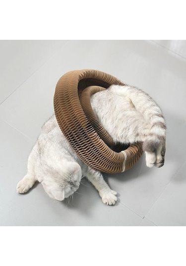 Homyl Organ Kedi Tırmalama Tahtası Scratcher Karton Uşak