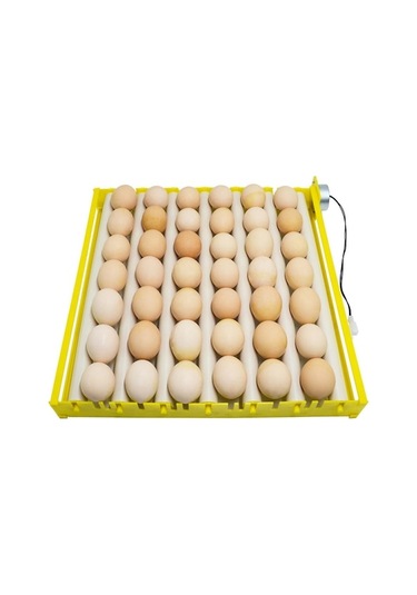 Pazly Yumurta Tüpleri Tepsi Suntek Ördek Kaz İnkübatör Uyumlu 7 Li