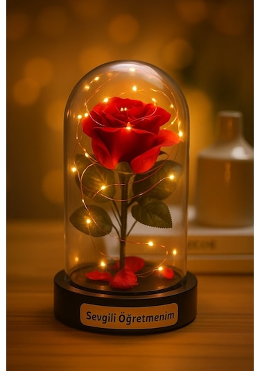 Fanusta Led Işıklı Sevgili Öğretmenim Temalı Biblo Öğretmenler Gününe Anlam Katan Özel Hediye 20 Cm Çok Renkli