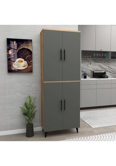 Reyo Home Enda Raflı 4 Kapaklı Çok Amaçlı Dolap Çam- Antrasit