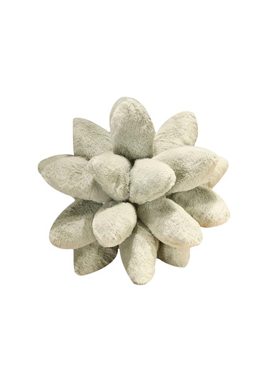 Suntek Succulents Yastık Uyku Yastığı Bitki Yastıkları Oda